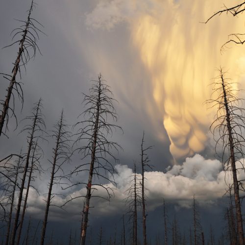 meteorología apcytel